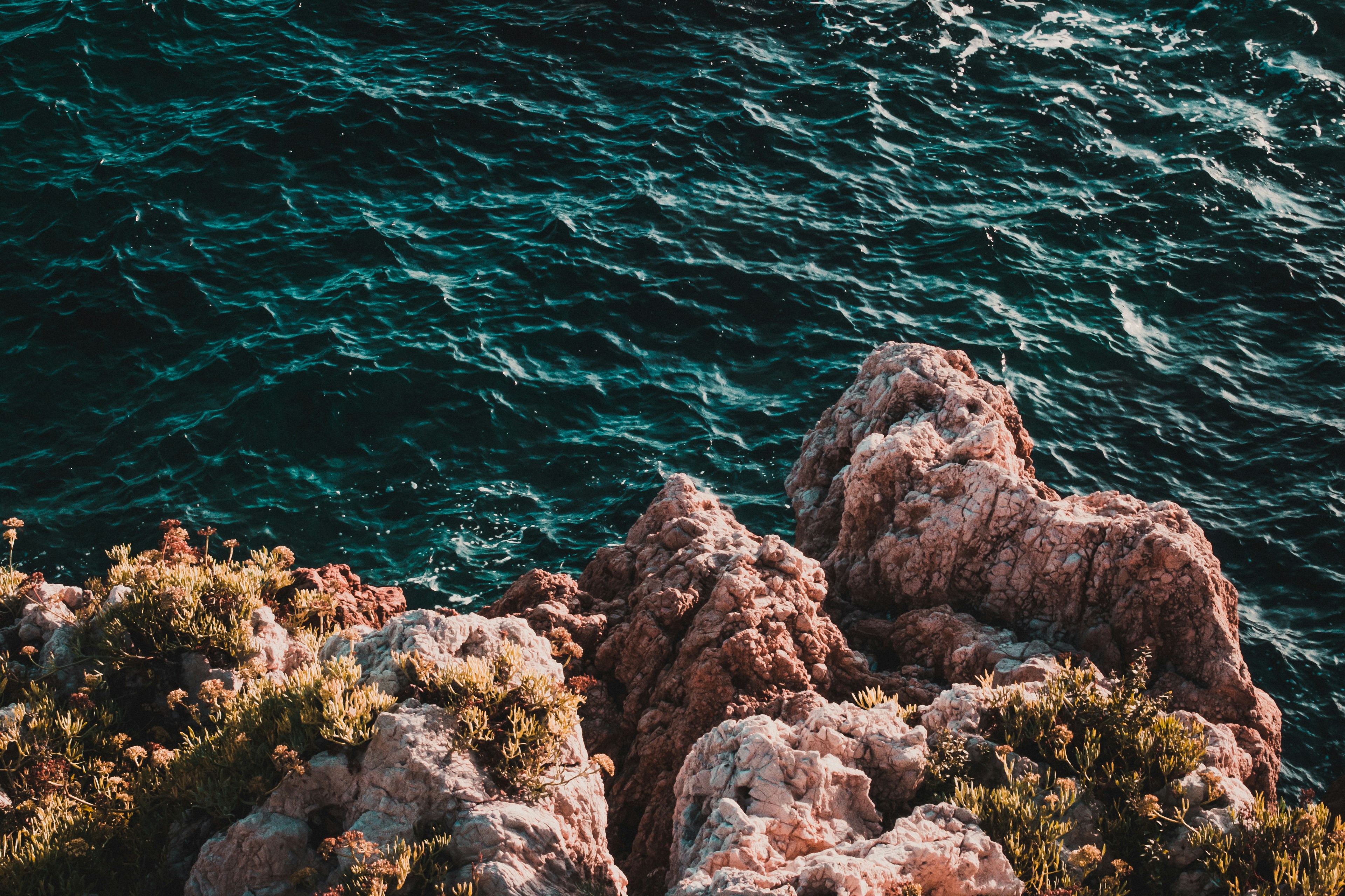 ocean-vertical.jpg